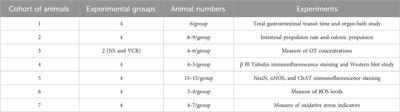 Protective effect of oxytocin on vincristine-induced gastrointestinal dysmotility in mice